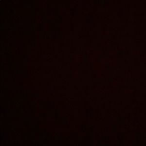 Meet your Posher, Raine